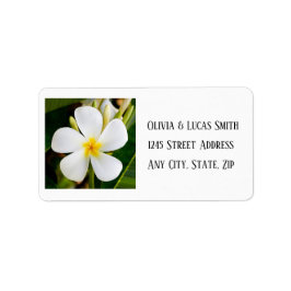 Tropische Witte Plumeria - Nieuw begin - Weddensch Etiket
