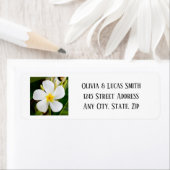 Tropische Witte Plumeria - Nieuw begin - Weddensch Etiket (Insitu)