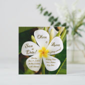 Tropische Witte Plumeria - Nieuw begin - Weddensch Kaart (Staand voorkant)