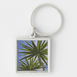 Tropische Yucca Palm Bladeren Schilder Effect Foto Sleutelhanger