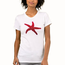 tropische Zee zeester