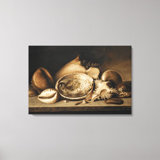 tropische zeeschelpen op een stenen richel canvas afdruk (Voorkant)