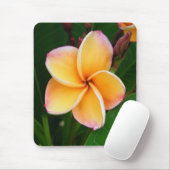 Tropische zintuigen muismat (Met muis)