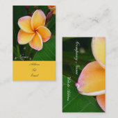 Tropische zintuigen visitekaartje (Voorkant / Achterkant)