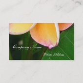 Tropische zintuigen visitekaartje (Achterkant)