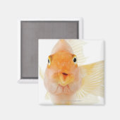 Tropische zoetwatervis magneet (Voorkant / Achterkant)
