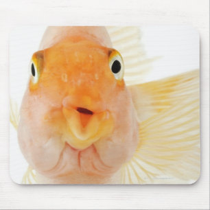 Tropische zoetwatervis muismat