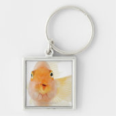 Tropische zoetwatervis sleutelhanger (Voorkant)