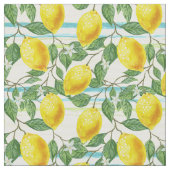 Tropische zomerlemonpomp stof (Close Up)