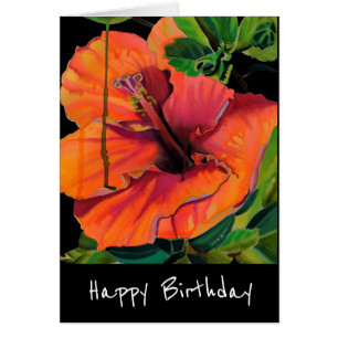 Tropische zomerse oranje hibiscus