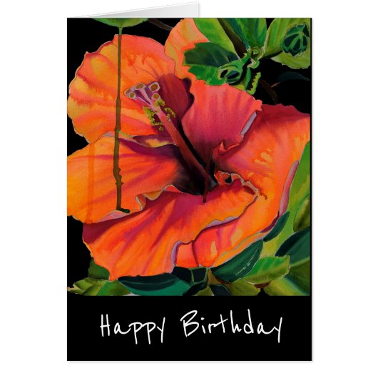 Tropische zomerse oranje hibiscus (Voorkant)