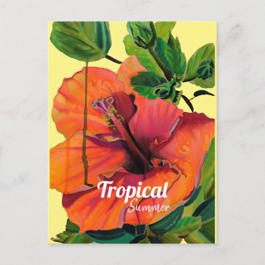 Tropische zomerse oranje hibiscus briefkaart (Voorkant)