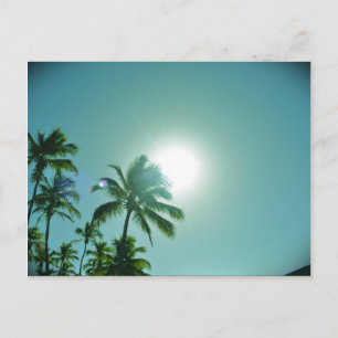 Tropische zon briefkaart