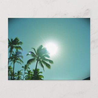 Tropische zon briefkaart