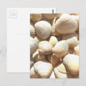 Tropische zonneboringen aan de exotische zee briefkaart (Voorkant / Achterkant)