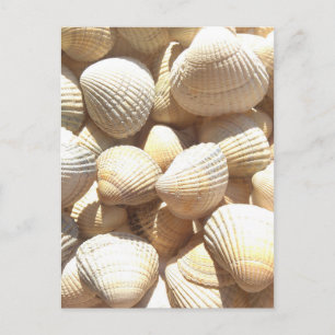 Tropische zonneboringen aan de exotische zee briefkaart