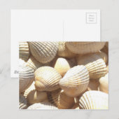 Tropische zonneboringen aan de exotische zee briefkaart (Voorkant / Achterkant)