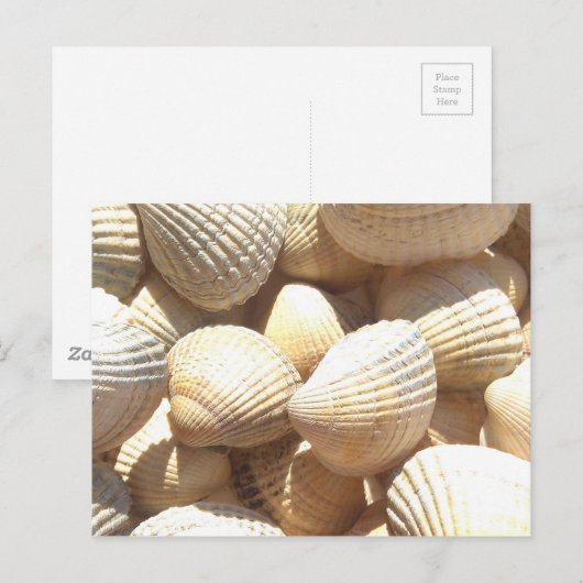 Tropische zonneboringen aan de exotische zee briefkaart (Voorkant / Achterkant)