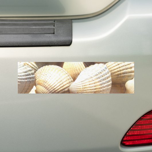 Tropische zonneboringen aan de exotische zee bumpersticker (Op auto)