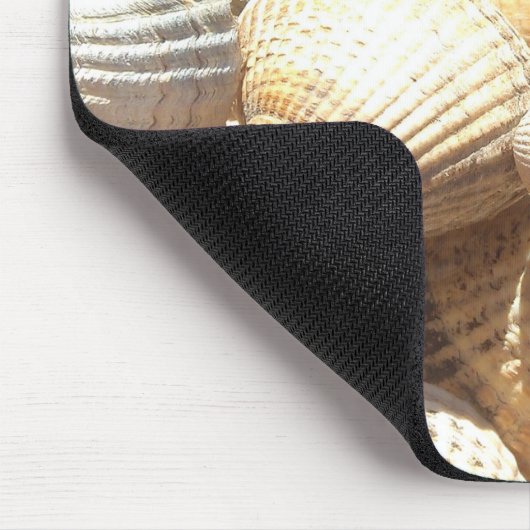 Tropische zonneboringen aan de exotische zee muismat (Hoek)