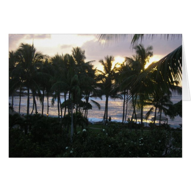 Tropische zonsondergang (Voorkant Horizontaal)