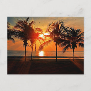Tropische zonsondergang briefkaart