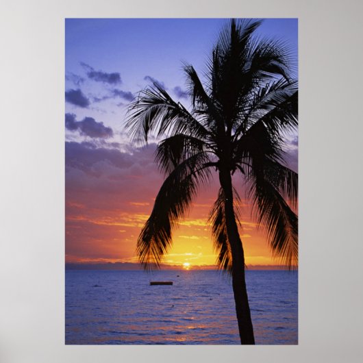 Tropische zonsondergang met palmboom poster (Voorkant)