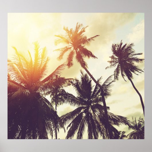 Tropische Zonsondergang: Palm Silhouette Poster (Voorkant)
