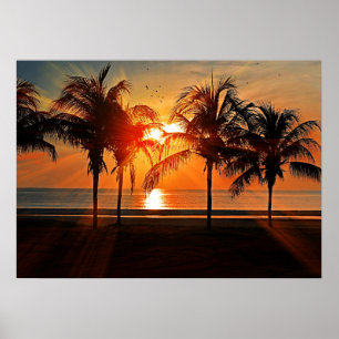 Tropische zonsondergang poster