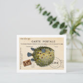 Tropival  visliefde briefkaart (Staand voorkant)