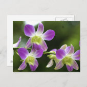 Trorpical Orchids Bloom Briefkaart (Voorkant / Achterkant)