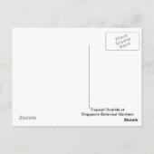Trorpical Orchids Bloom Briefkaart (Achterkant)