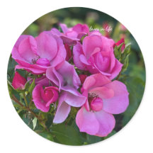 Tros lavendel Roze Rozen