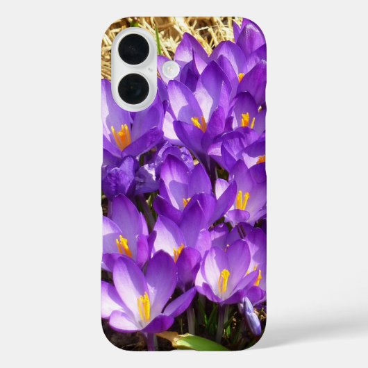Tros paarse krokussen lente bloemen Case-Mate iPhone case (Achterkant)