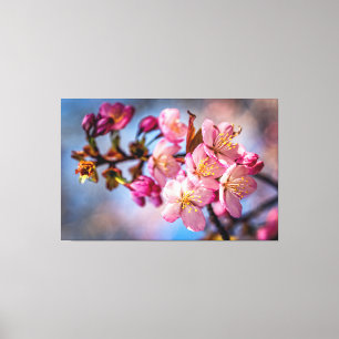 Tros Sakura Kersenbloesems In De Wind Canvas Afdruk