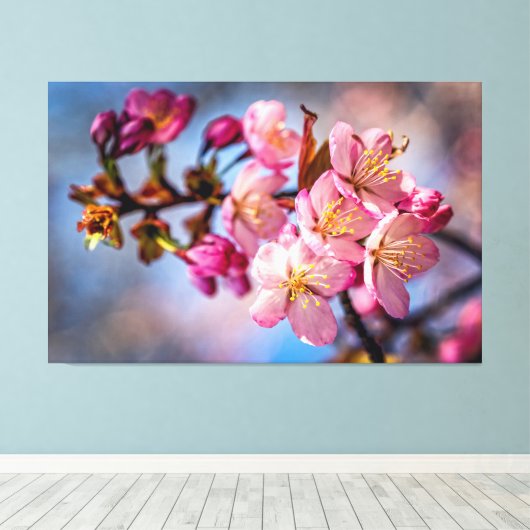 Tros Sakura-kersenbloesems in de wind Canvas Afdruk (Insitu (Houten vloer))