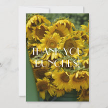 TROSSEN ZONNEBLOEMEN