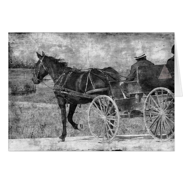 Trot Amish Horse in Black and White (Voorkant Horizontaal)