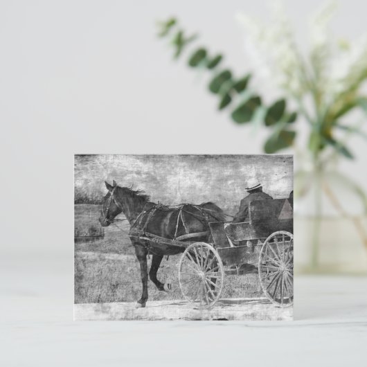 Trot Amish Horse in Black and White Briefkaart (Staand voorkant)