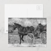 Trot Amish Horse in Black and White Briefkaart (Voorkant / Achterkant)