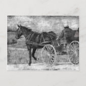 Trot Amish Horse in Black and White Briefkaart (Voorkant)