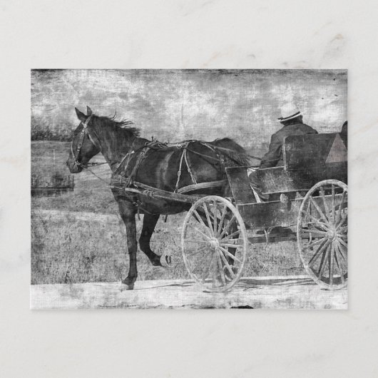 Trot Amish Horse in Black and White Briefkaart (Voorkant)