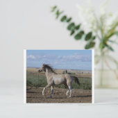 trot briefkaart (Staand voorkant)