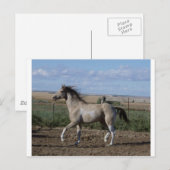 trot briefkaart (Voorkant / Achterkant)