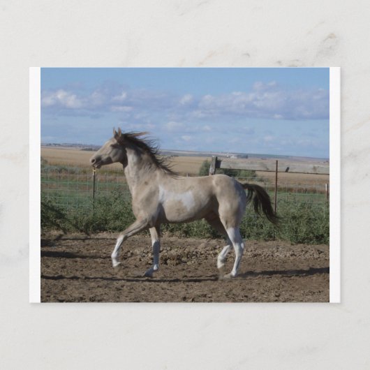 trot briefkaart (Voorkant)