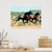 Trotatievermogen Poster (Keuken)