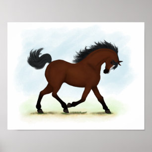 Trotbay paard met Blaze Equestrian Poster