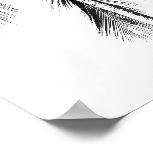 Trotropische zomer met zwarte en witte palmboom poster (Hoek)