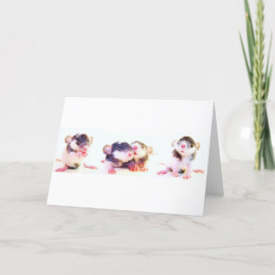 Trots Bezeten door Ratten! Kaart