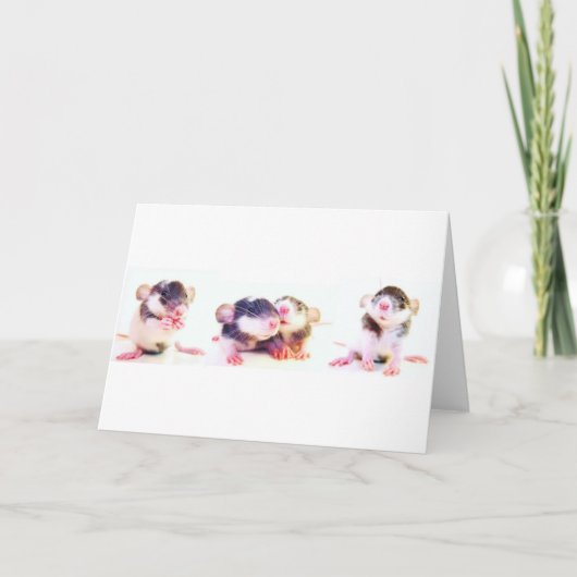 Trots Bezeten door Ratten! Kaart (Voorkant)